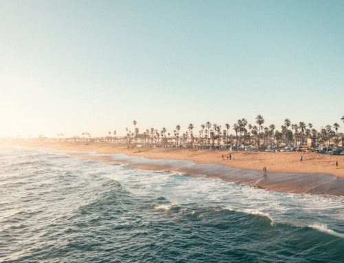 Studér i Californien: Den Ultimative Guide til College & Universitet