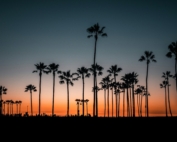 Studér i Los Angeles