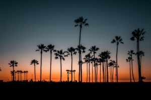 Studér i Los Angeles