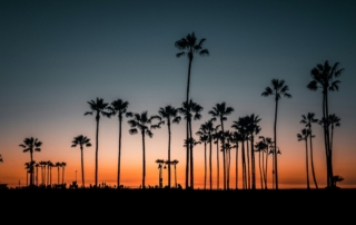 Studér i Los Angeles